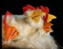 Quand les poules auront des dents